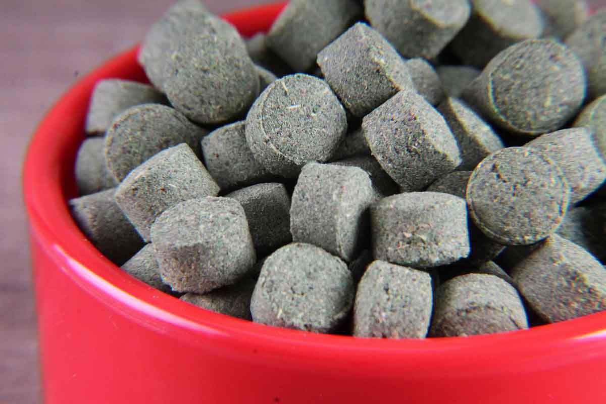 Pudina Vati 200 Gm