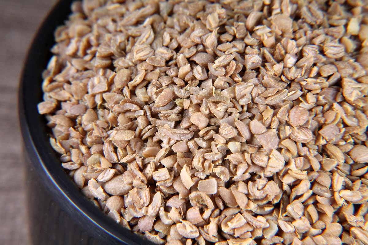 Dhania Kuriya/Coriander Spilit 100 Gm