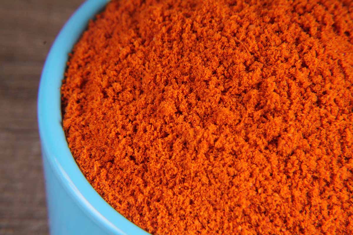 Fish Masala 100 Gm