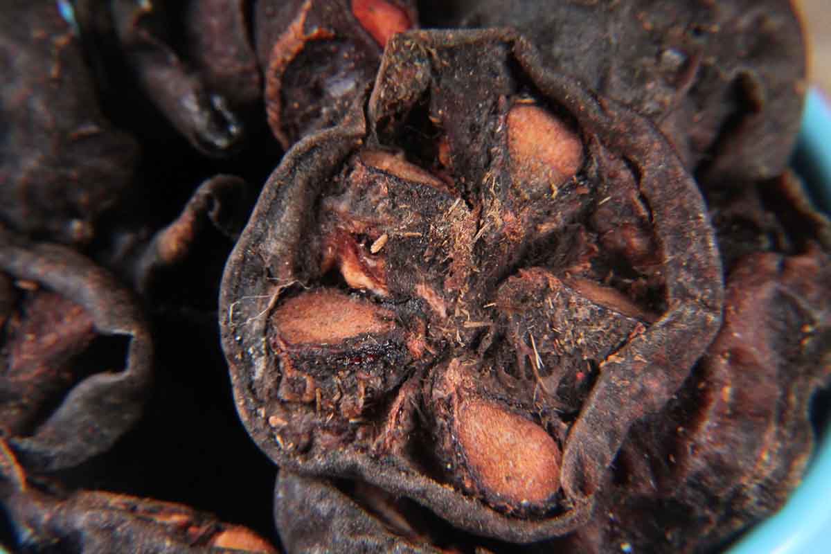 Mangosteen/Kokum Lonavala 100 Gm