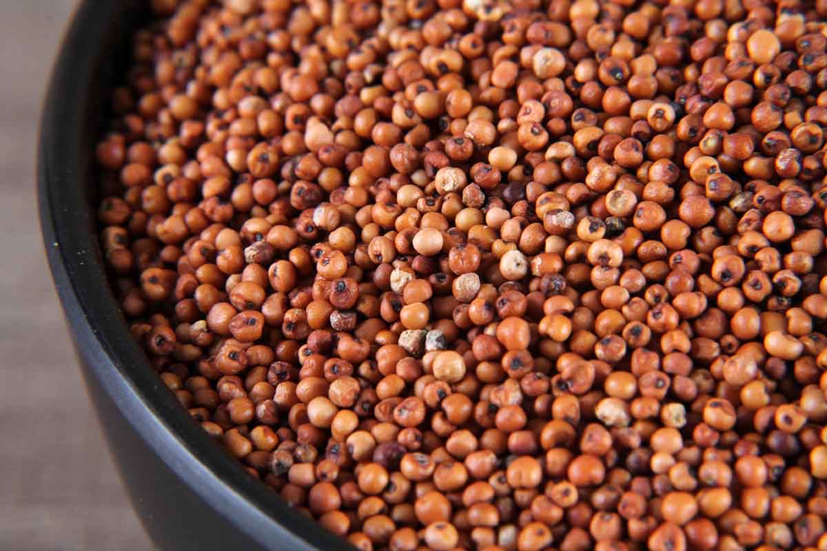 Nachani Ragi 500 Gm