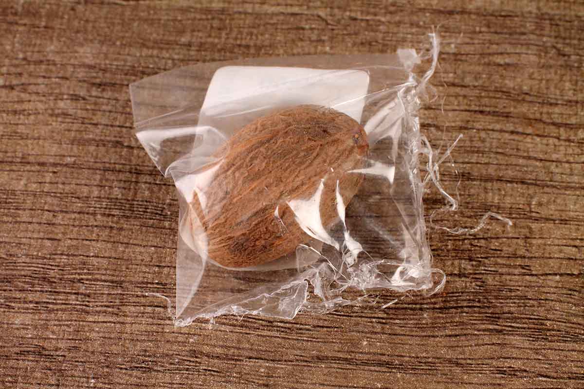 Nutmeg/Jaifal 1 Pc